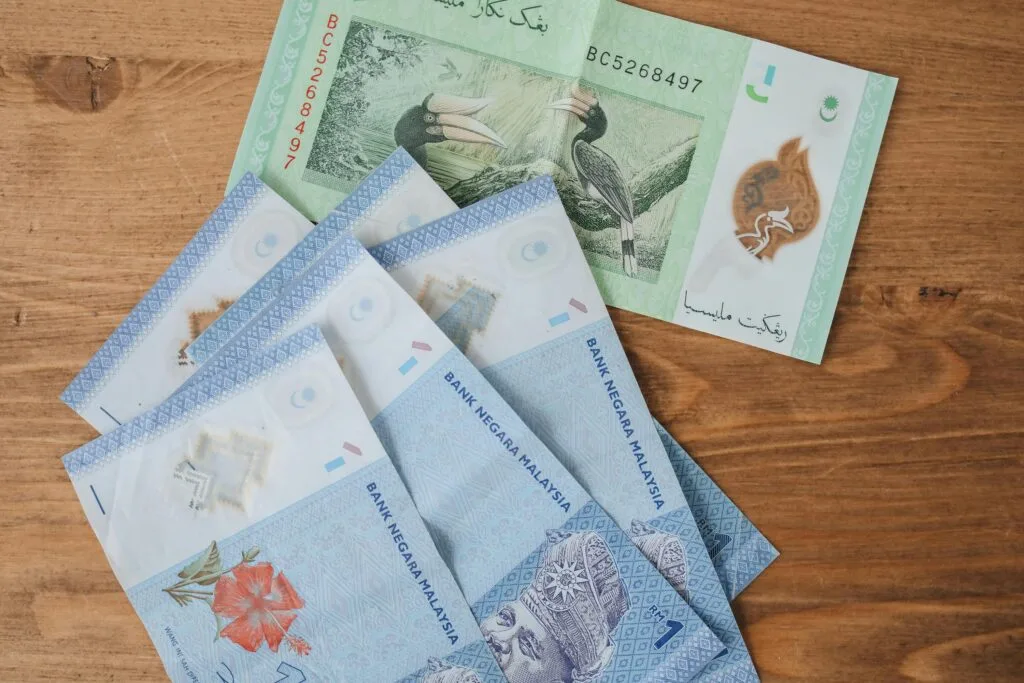 Essential Travel Tips Before Moving to Malaysia