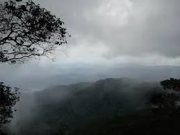 Janda baik