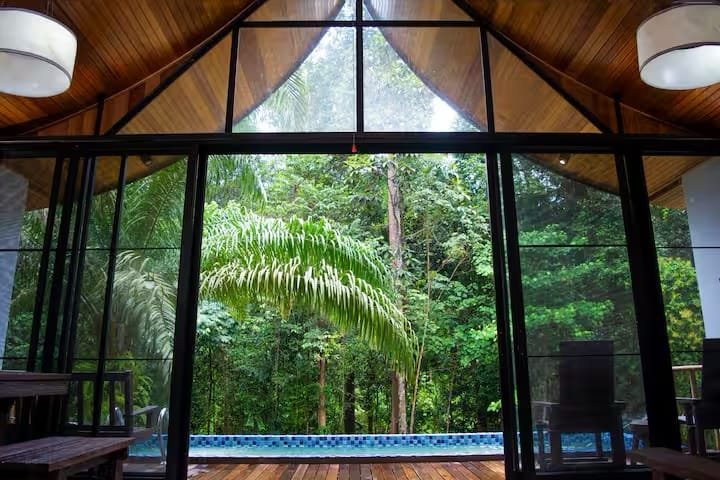 Zen Forest