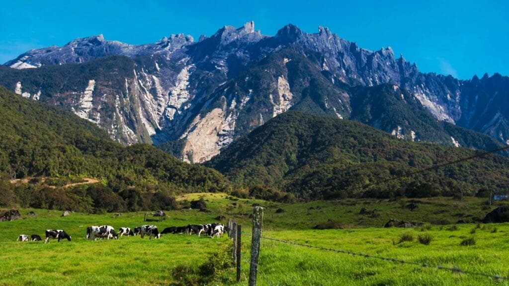 Kota Kinabalu
