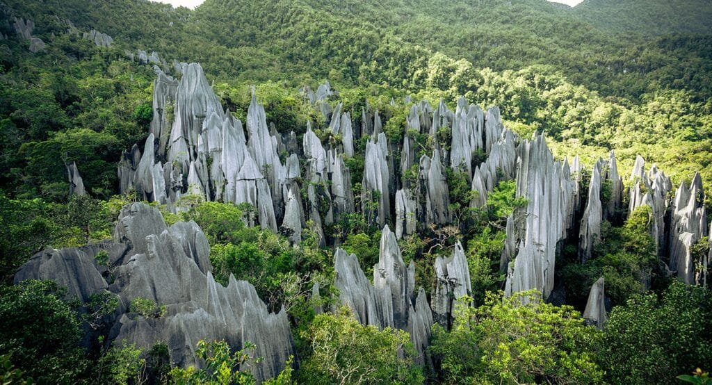 Mulu Caves, Malaysia’s Best Cave Adventures: Exploring the Underground Wonders (2025)