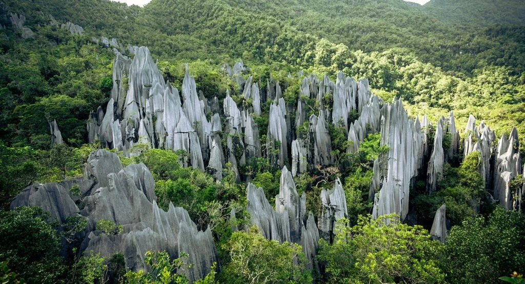 Mulu Caves, Malaysia’s Best Cave Adventures: Exploring the Underground Wonders (2025)