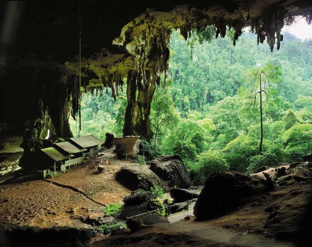 Niah Caves