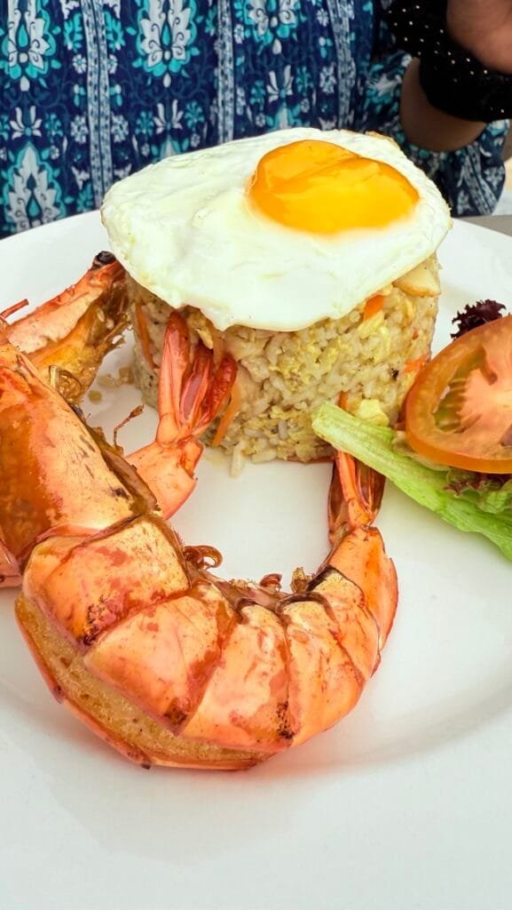 Tunamaya Resort - Chicken fried rice